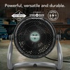 image:imageVornado EXO51 Small Heavy Duty Air Circulator 3Speed High Velocity Shop Fan Dustproof and WaterResistant Powerful Motor Industrial High Impact Case Whole Room Air Circulator GreenEXO61  Medium
