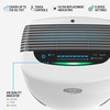 image:imageVornado PCO375DC Air Purifier with True HEPA and Carbon Filtration to Capture Allergens Smoke Odors and Patented Silverscreen Technology Attacks Viruses Whole Room WhitePCO575DC