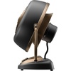 image:imageVornado VFAN Petite Alchemy Vintage Air Circulator 3Speed Retro Metal Desk Fan with Adjustable Tilt Head for Bedroom Office Dorm Cooling 12 in Compact Fan Gunmetal FinishVFAN Alchemy