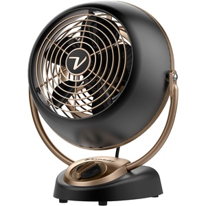 image:imageVornado VFAN Petite Alchemy Vintage Air Circulator 3Speed Retro Metal Desk Fan with Adjustable Tilt Head for Bedroom Office Dorm Cooling 12 in Compact Fan Gunmetal FinishVFAN Alchemy Petite